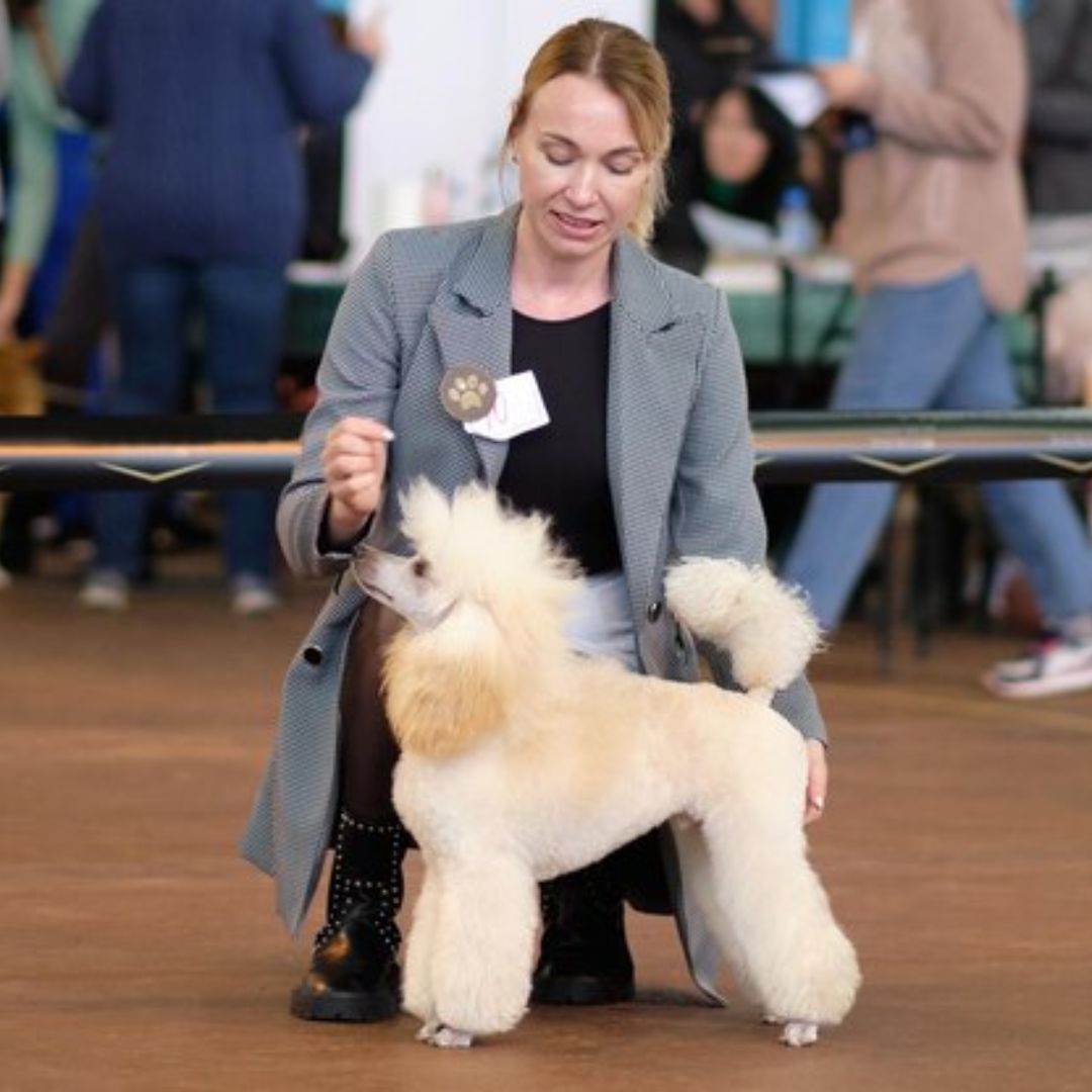 A Shopping Paradise for Pet Owners