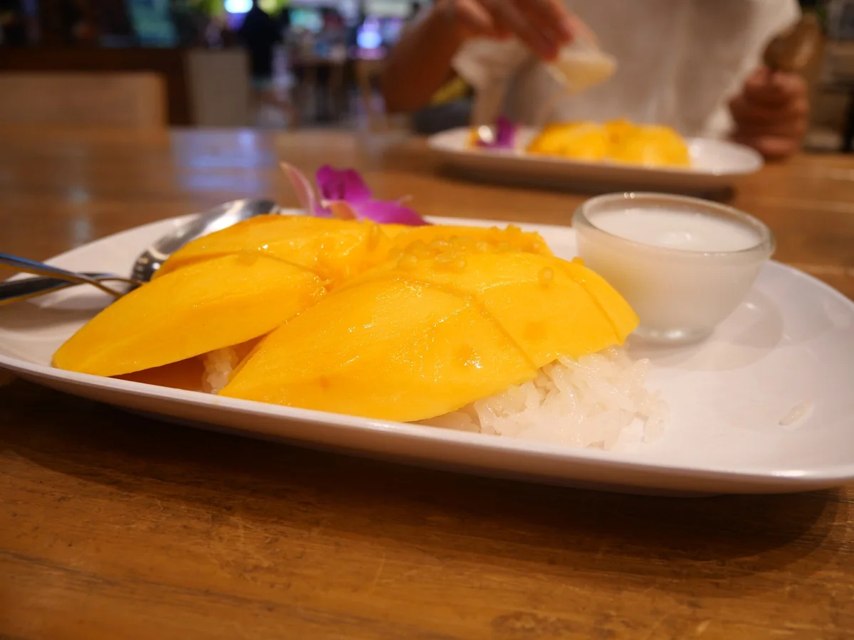 Fresh mango slices with sticky rice and coconut sauce on a white plate